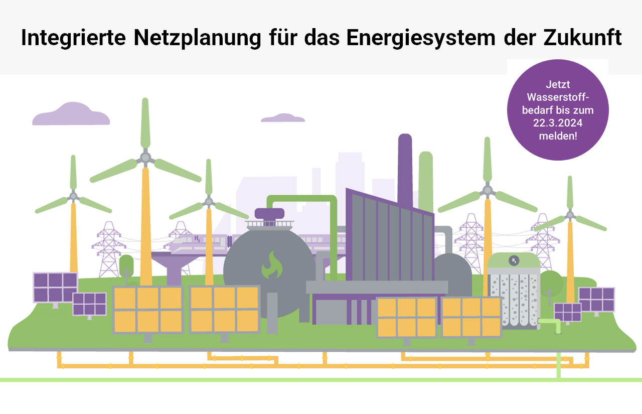 Marktabfrage integrierter Netzentwicklungsplan